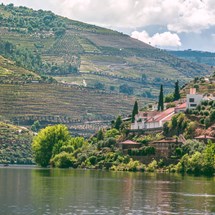 Douro Valley Tour with Wine Tasting & Lunch