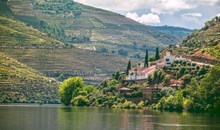 Douro Valley Tour with Wine Tasting & Lunch