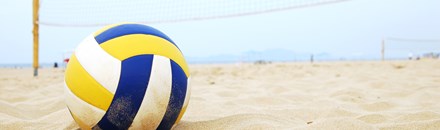 Yellowave Beach Sports