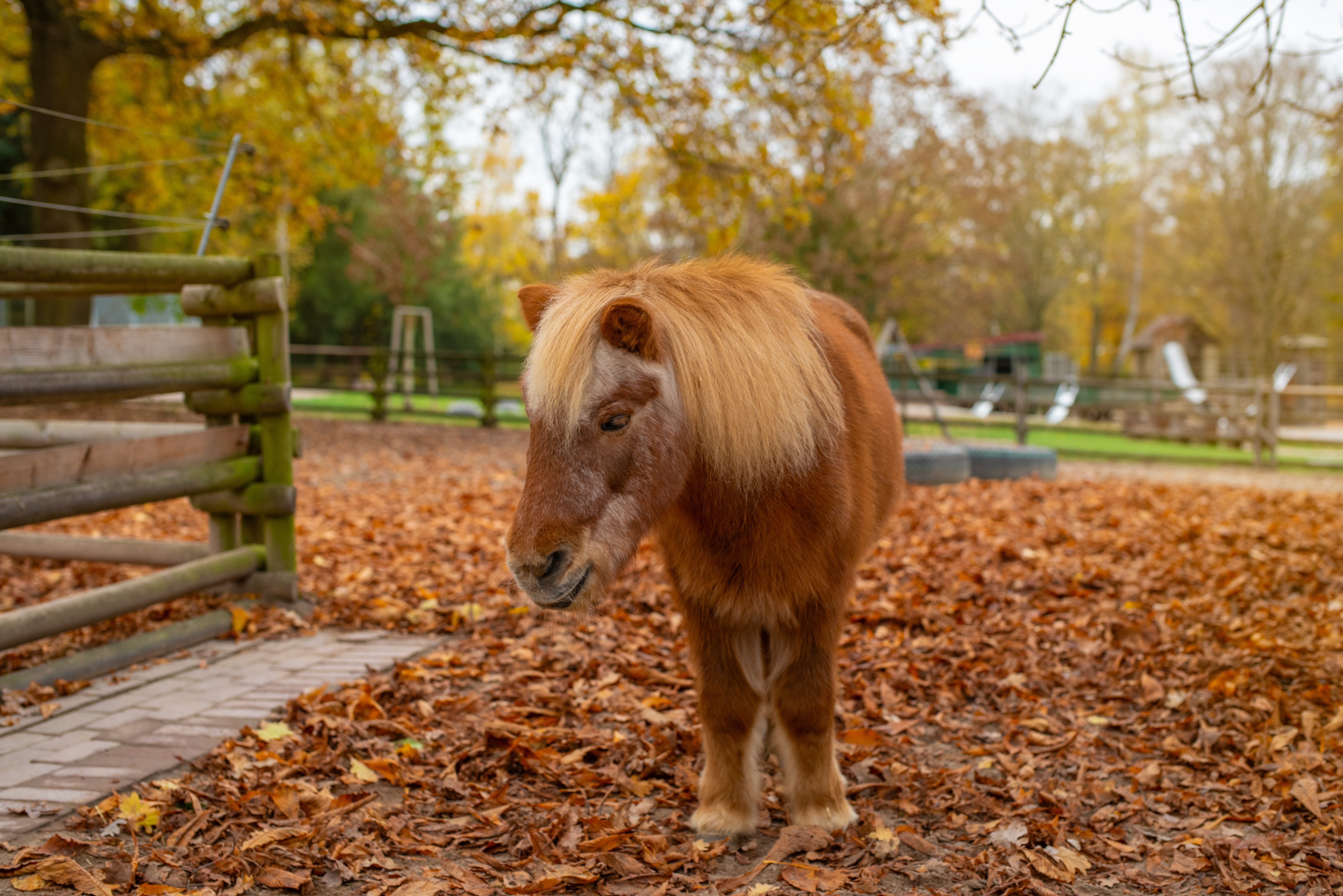 Höhenpark Killesberg
