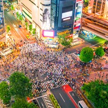 Shibuya crossing