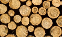 Sierra Nevada Logging Museum