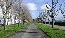 Cours Dajot