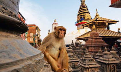 Kathmandu