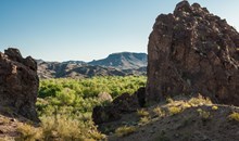 Bill Williams River National Wildlife Refuge