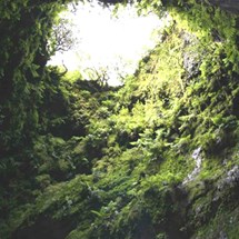 Algar Do Carvão