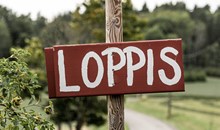 Loppis