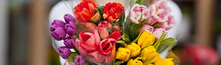 Baysore's Flower Shop