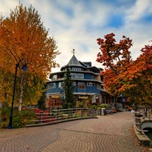 Village Shopping