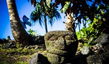 Uncle Robert's Awa Bar & Farmers Market (Kalapana)