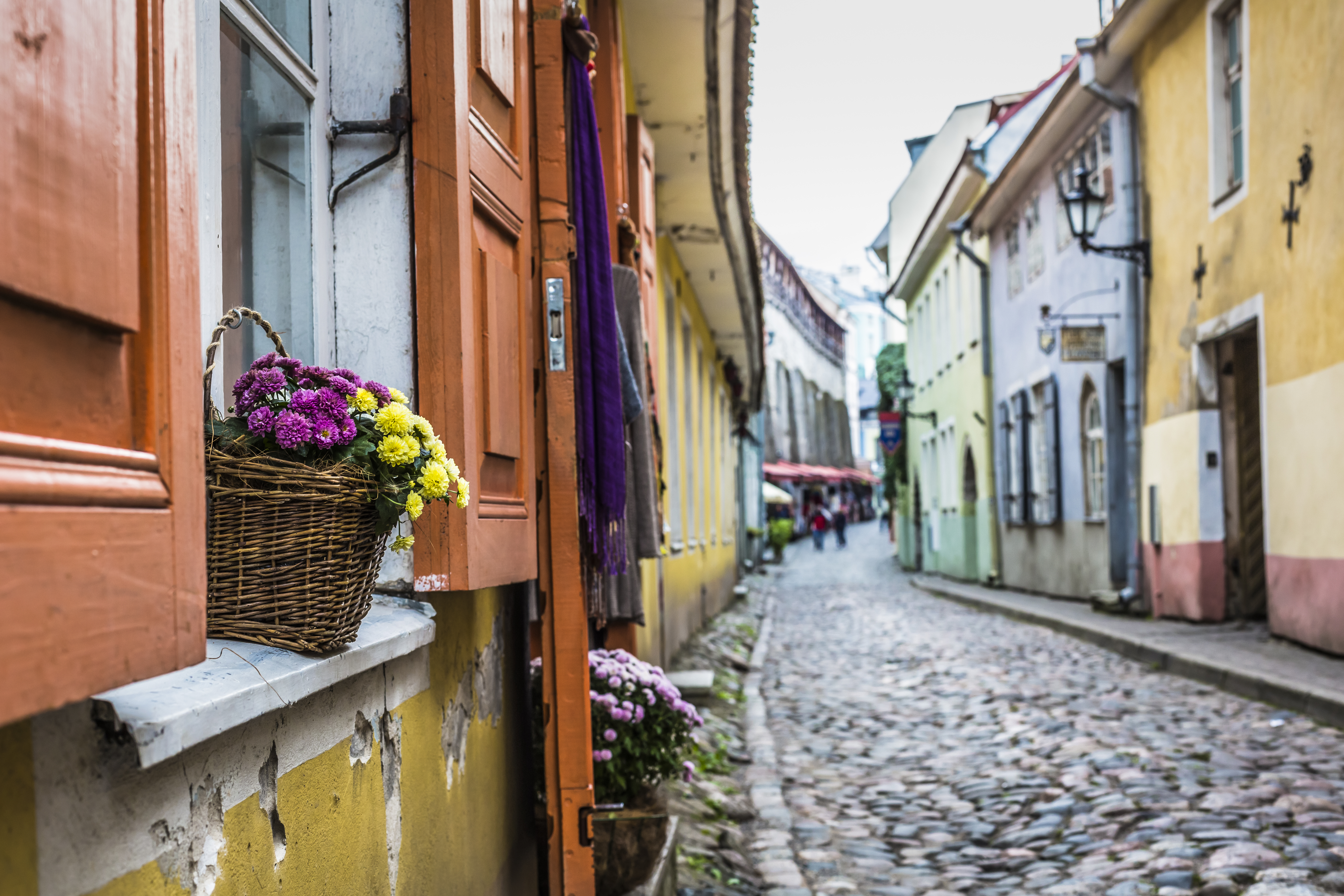 Street in Tallinn's city center - Estonia