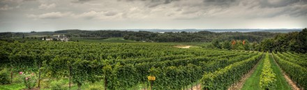 Chateau Grand Traverse