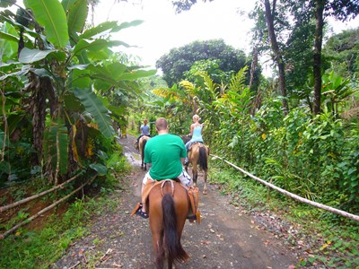 Riding horse, Quepos - hex1848/Flickr