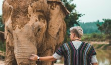 Elephant Sanctuary
