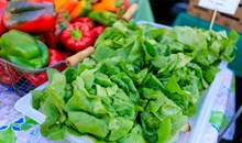 L.A. Farmer’s Market