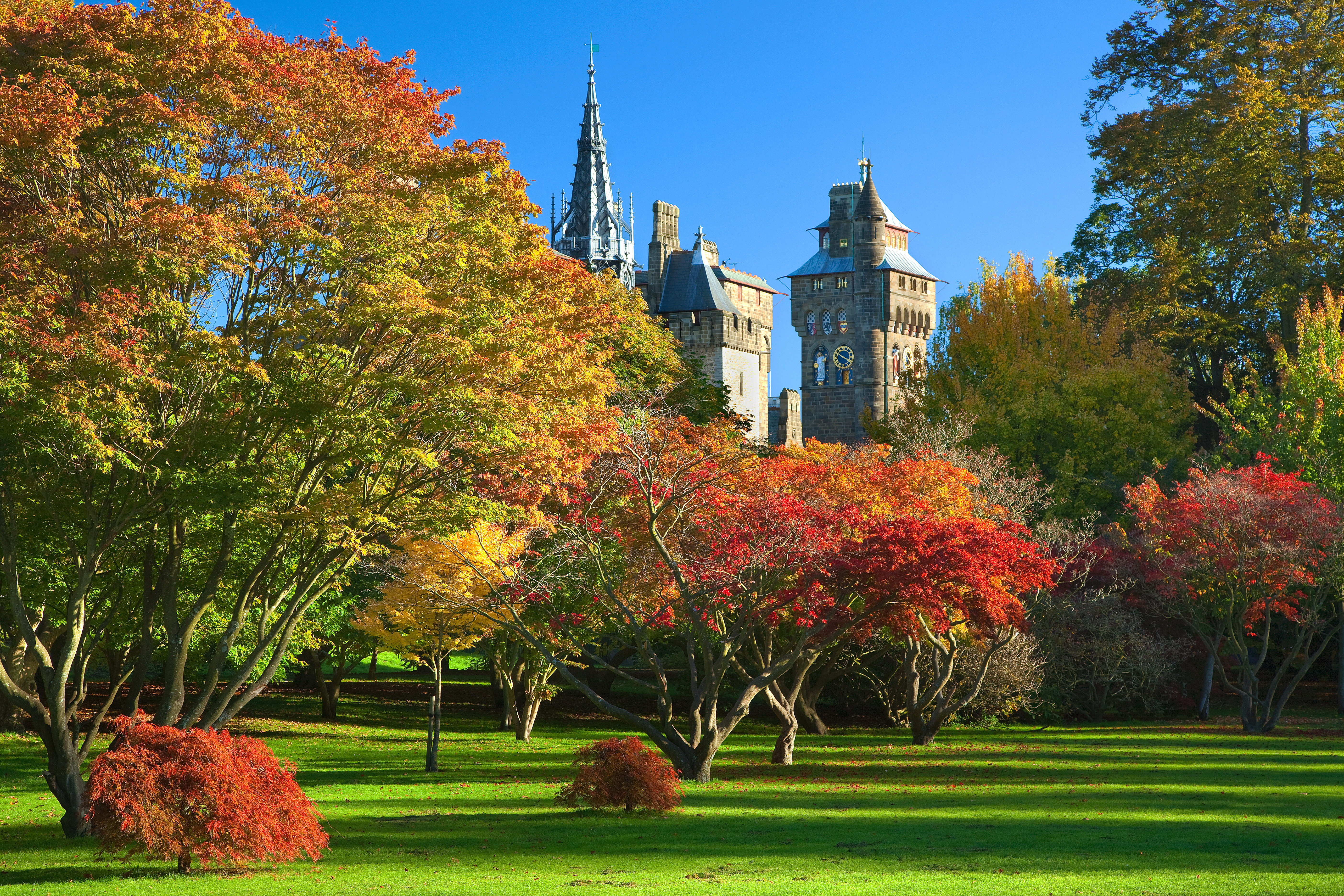 Bute Park with Cardiff Castle in the background