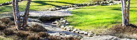 Dallas Arboretum & Botanical Gardens