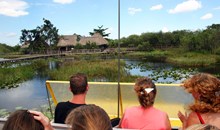Billie Swamp Safari