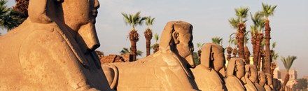 Sphinx Avenue