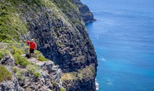 Seven Peaks Walk at Pinetrees Lord Howe Island