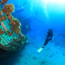 Scuba Diving & Snorkelling