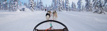 Rangeley Lakes Trails Center