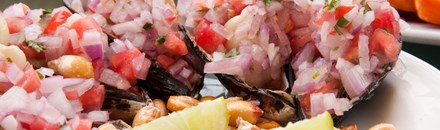 El Gaucho Inca