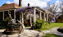 Norman Lindsay Gallery & Museum