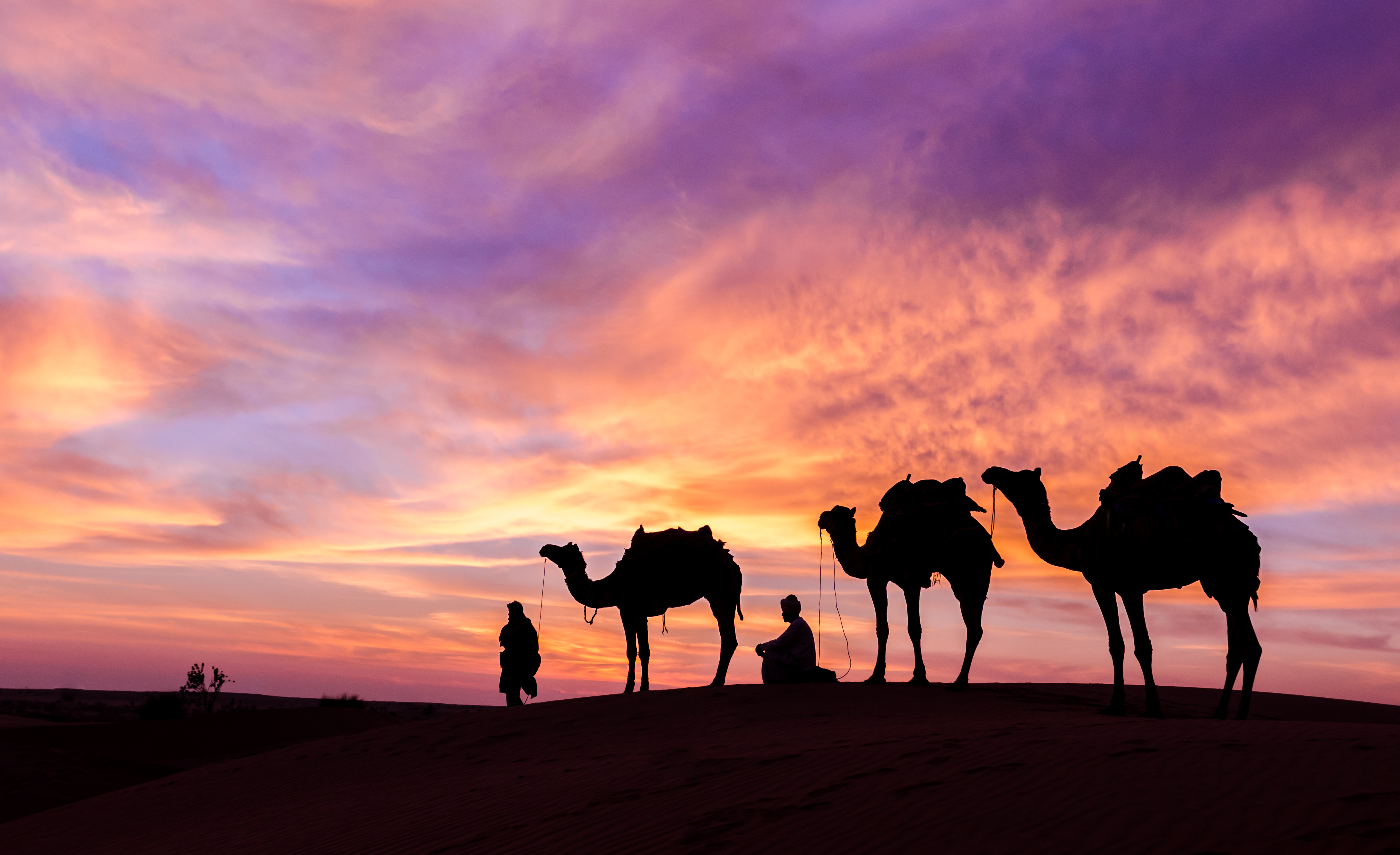 top attractions top attractions