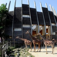 Diergaarde Blijdorp
