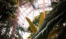 United States Botanic Garden