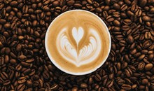Cafe Moto