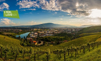 Maribor