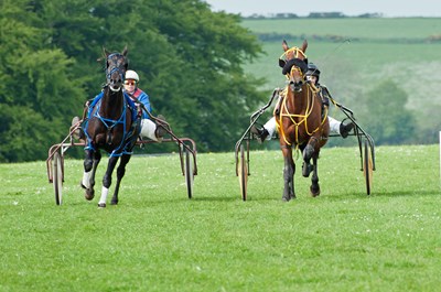 men and horses - Lordbphotos/Shutterstock.com