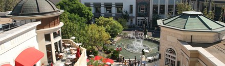 The Grove