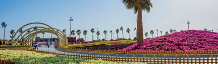 Yanbu Flower Festival