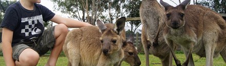 Hunter Valley Zoo