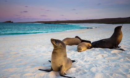 Galapagos Islands