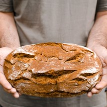 Terra Breads