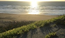 Ocean Beach