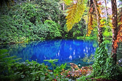 Nanda Blue Hole, Espiritu Santo, Vanuatu - Karin Wassmer/Shutterstock.com