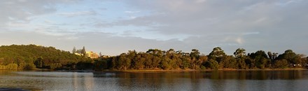 Shaws Bay
