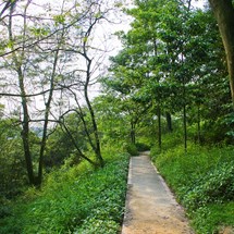 Baiyun Shan (White Cloud Mountain) / 白云山