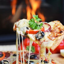 Terroni