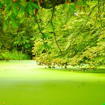 Miedzyodrze by kayak
