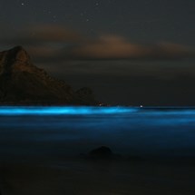 Luminous Lagoon