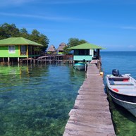 Island Tours