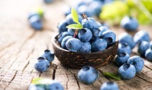 Rangeley Blueberry Festival