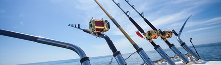 Deep Sea Fishing with M & J's Charters