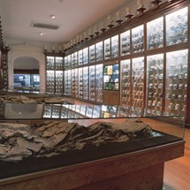 Museo Canario